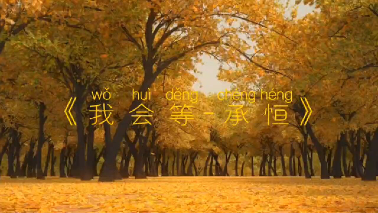 音乐:《我会等》_腾讯视频
