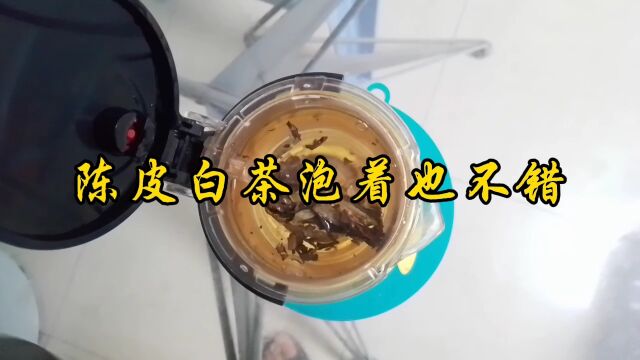 陈皮白茶泡着也不错!