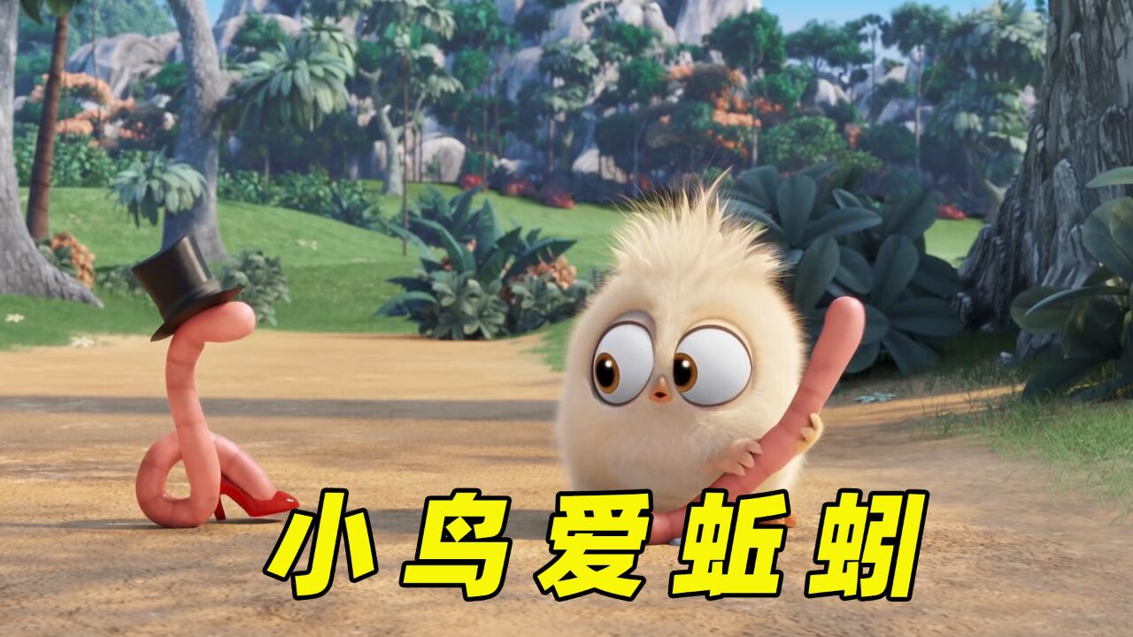 小鸟爱上小蚯蚓,就宠着它!《蚯蚓》