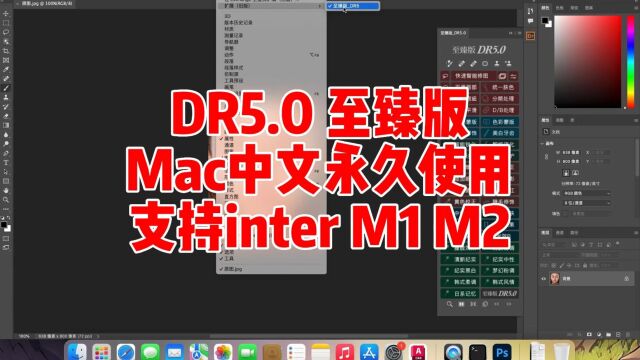 PS磨皮插件,DR5.0至臻版mac中文版,永久使用.