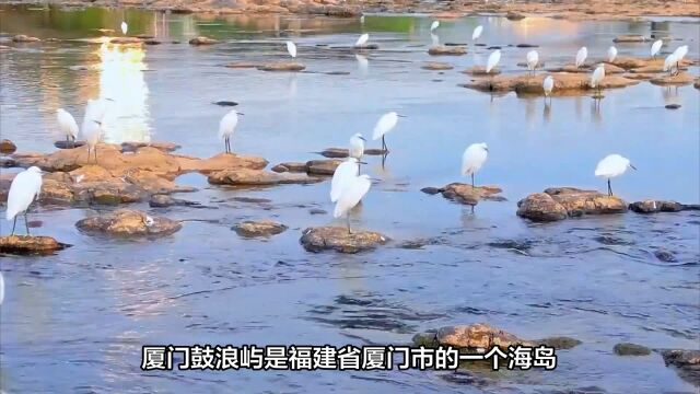 你知道厦门鼓浪屿的名字是怎样来的吗?