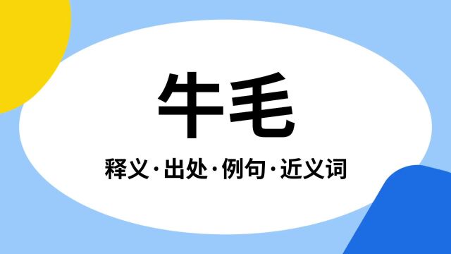 “牛毛”是什么意思?