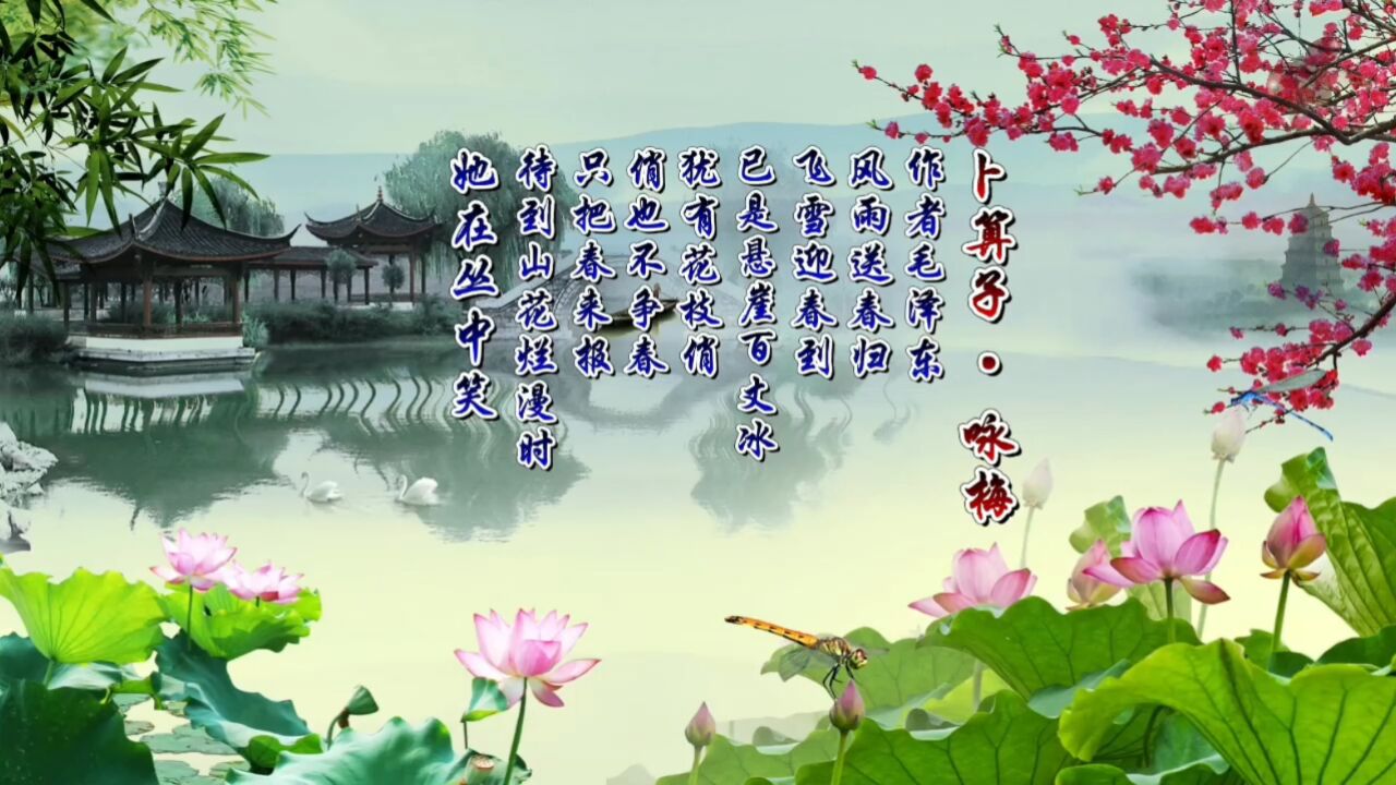 卜算子咏梅 学生经典古诗词诗歌朗诵led大屏幕高清背景视频素材