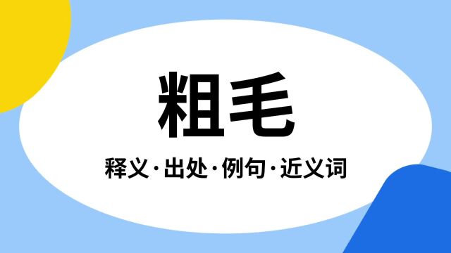 “粗毛”是什么意思?