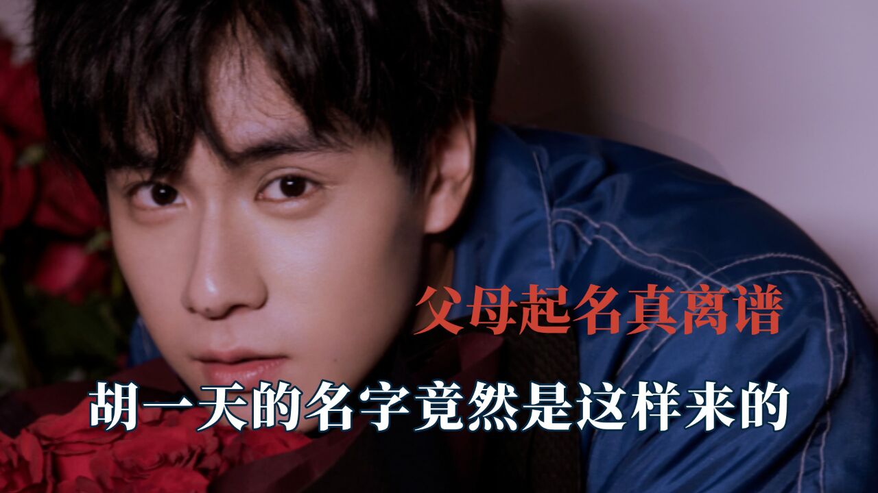 父母起名能有多离谱,胡一天名字竟是这样来的,伍佰竟然是真五百