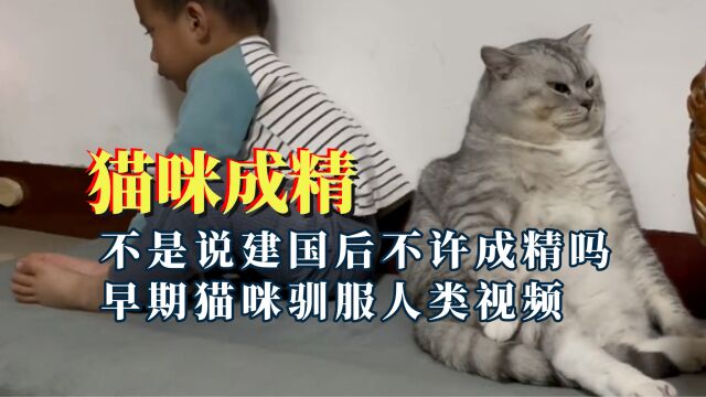 早期猫咪驯服人类视频,猫咪不仅识字啊,还会提醒不看字的路人!