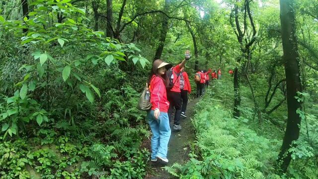 上海登山俱乐部身边的驴友群 筋竹村1上海快乐徒步爬山户外