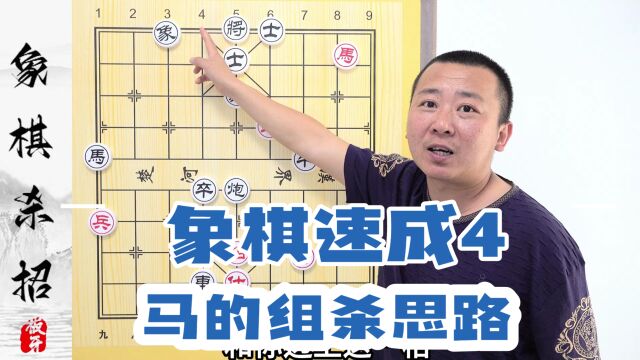 【象棋速成】系列第四集 马的组杀思路2 板牙象棋教学视频新手小白0基础象棋杀招知识升级