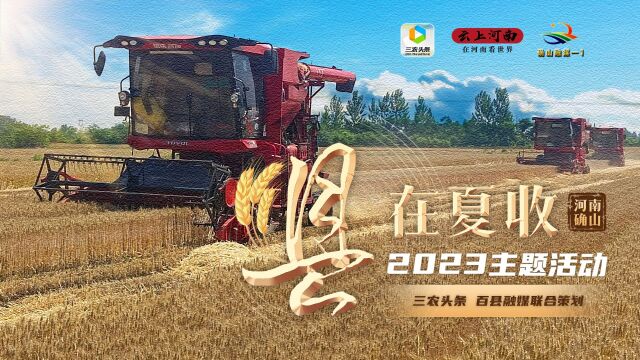 2023县在夏收:河南确山县农机收割忙