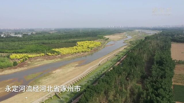 河北涿州:推进永定河生态治理