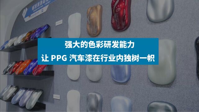 PPG专访视频20230602修改1压缩版