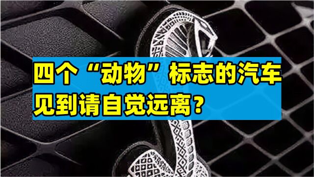 四个“动物”标志的汽车,见到请自觉远离?第二个开宾利也惹不起