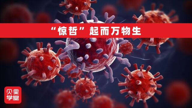 “惊哲”起而万物生,绿色循环中的微生物技术