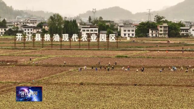 开江县:从“开江实践”到“开江样板”以全域乡村振兴探索新型城镇化