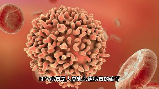 HPV病毒是怎么感染的 南京华肤医院