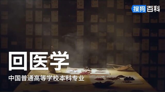 回医学:中医学类专业