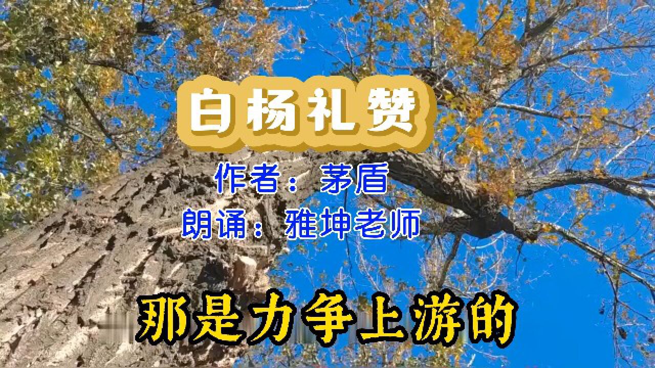 茅盾《白杨礼赞》,雅坤老师朗诵