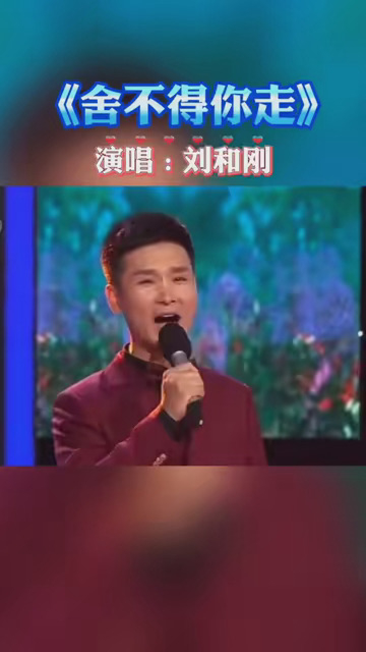 舍不得你走歌曲 刘和刚深情演唱,生动感人