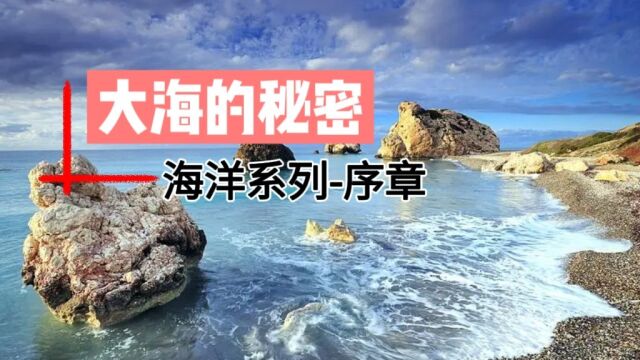 大海系列开启序章,一起了解大海的秘密!