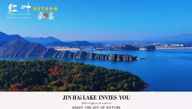 附线路:金海湖景区的红叶“盛宴”