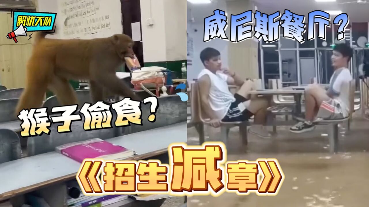解忧大队的个人页