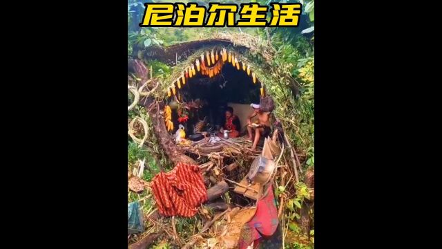 尼泊尔夫妻俩的田园生活,居住在树屋内,过着与世无争的生活#纪录片