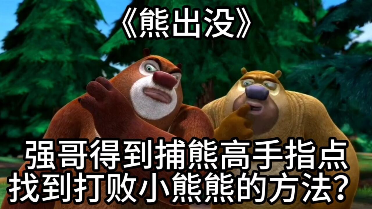 《熊出没》:强哥得到捕熊高手指点找到打败小熊熊的方法?