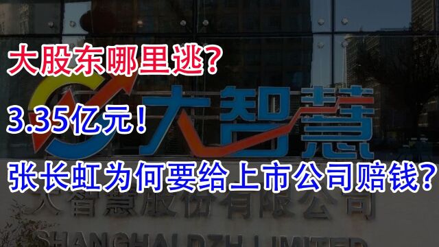 大股东哪里逃?3.35亿元!张长虹为何要给大智慧上市公司赔钱?