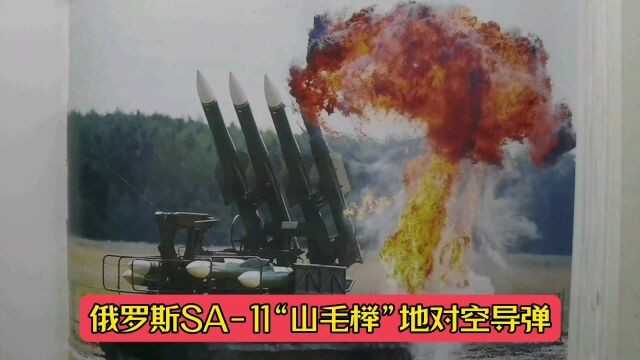 俄罗斯SA11“山毛榉”地对空导弹