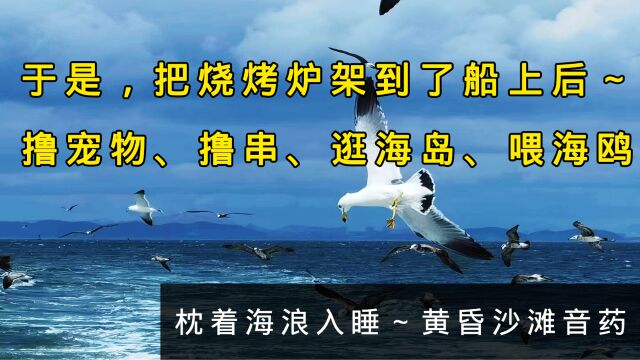 把烧烤放在船上,撸串、喂海鸥、逛海岛,品鉴海王九岛黄海度假村