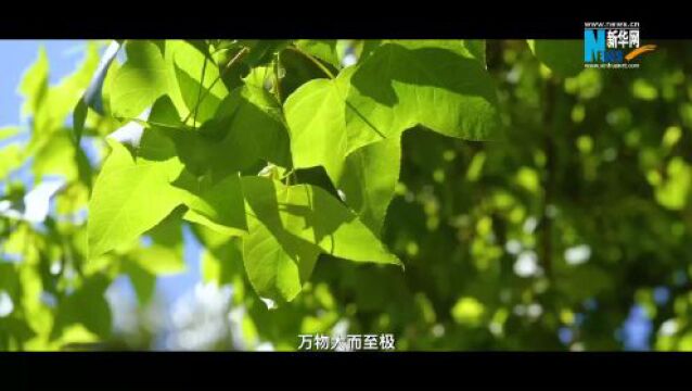 夏至里的中国智慧丨古人是如何确定“夏至”的?