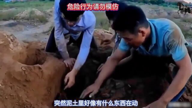 男子野外寻宝发现泥土里有东西