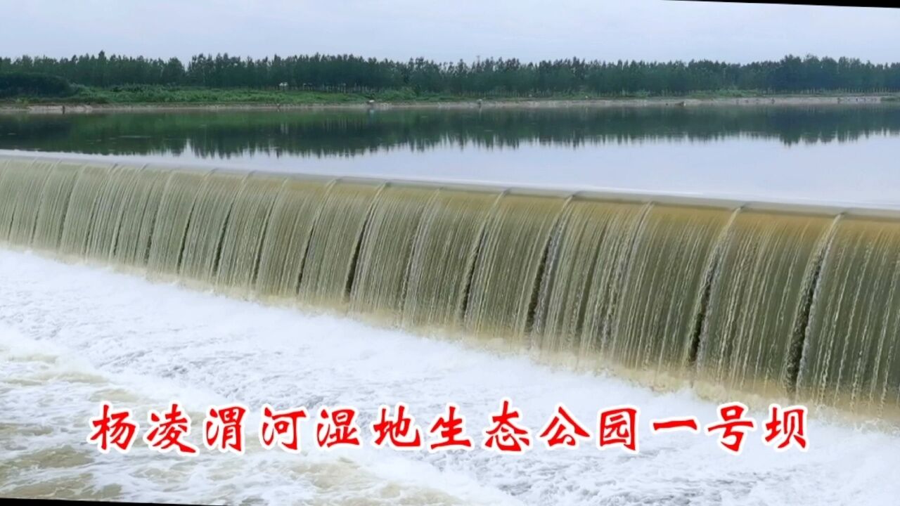 杨凌渭河湿地生态公园一号坝#原创#河流#山川河流#山水风景