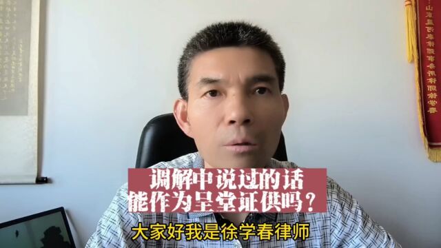 调解中说过的话,能否作为呈堂证供?