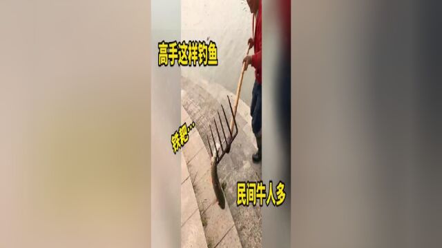 原来高手是这样钓鱼的