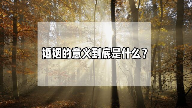 “掌阅ⷩ˜…见”小剧场:婚姻的意义到底是什么?这是最好的回答!