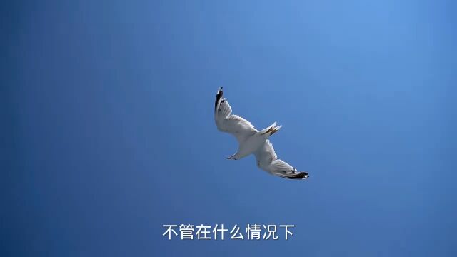 只有信念坚定才能走向成功