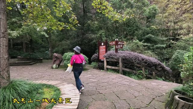 武夷山一线天景区,最窄处只有30公分,你敢来试一试吗