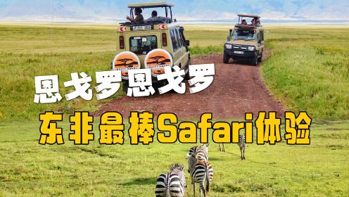 坦桑尼亚｜恩戈罗恩戈罗｜我愿称之为东非最棒的Safari体验！