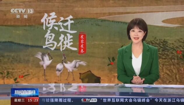 央视大屏直播!七里海湿地保护区迎数万只南迁 “来客”→