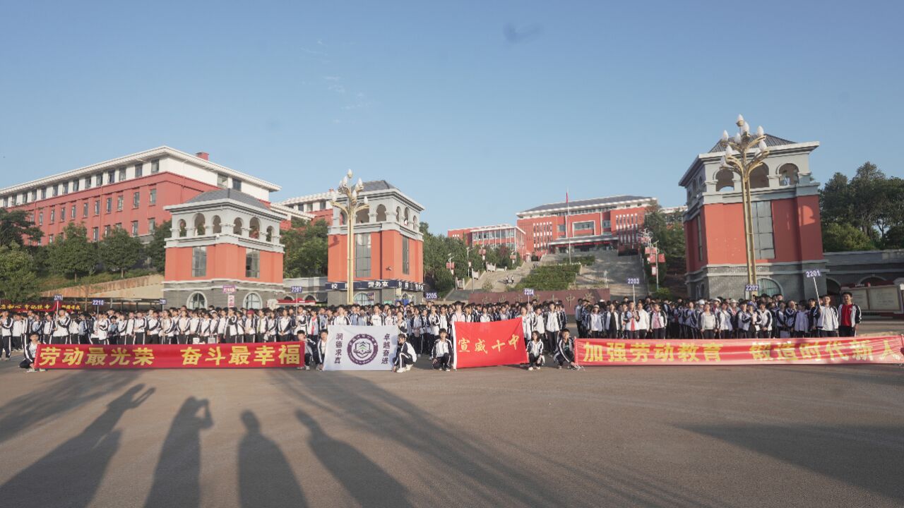 宣威十中基地教育实践活动