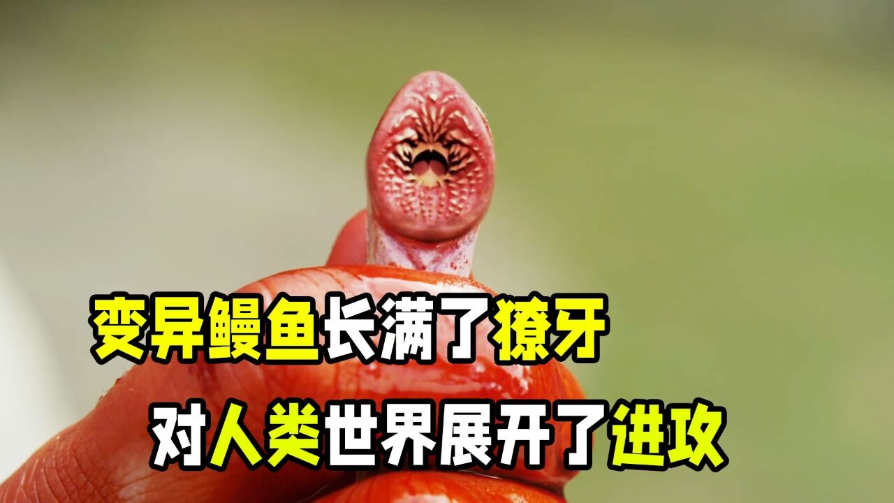 成精的变异鳗鱼,竟然对人类展开了攻击