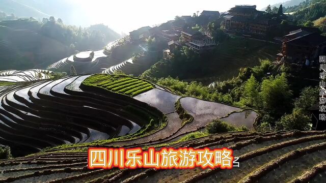 四川乐山旅游攻略