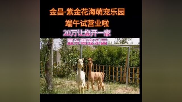 20万让您开一家室外萌宠乐园,20万开一个百鸟动物乐园,您相信吗?20天我们让一切都成形到位,20天让您开始卖票收钱.