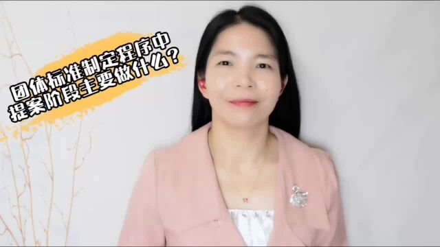 团体标准制定程序中提案阶段主要做什么?