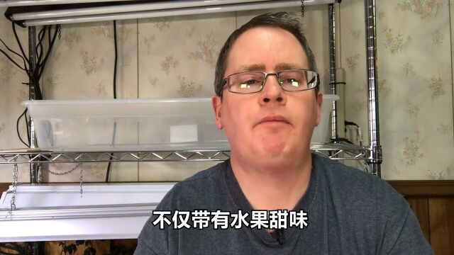 全球最辣的辣椒,无人敢吃,专家建议用作军事武器辣椒 1