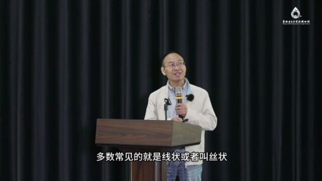 2023年度第八期【专家讲堂】录播已上线,敬请观看