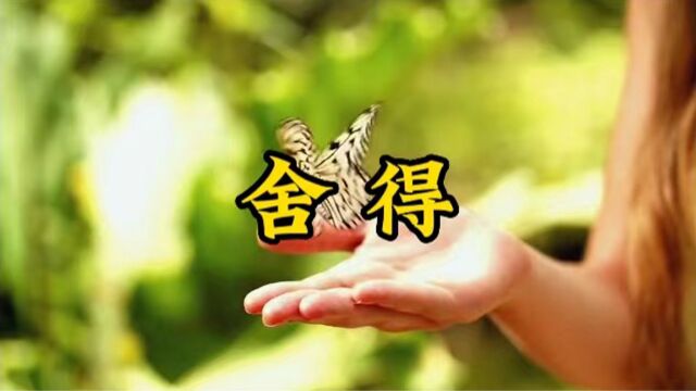 人无所舍,必无所得,小舍小得,大舍大得,不舍怎么会得