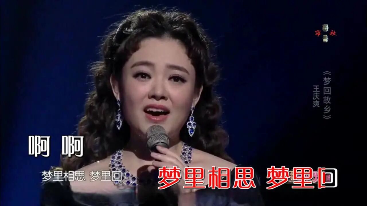 王庆爽-梦回故乡-ktv