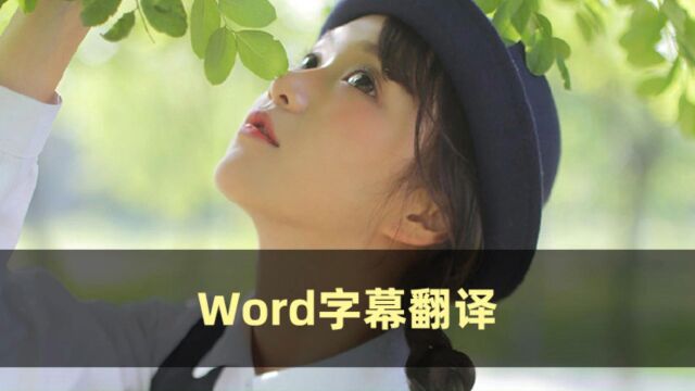 翻译不准?Word字幕翻译神器帮你解忧